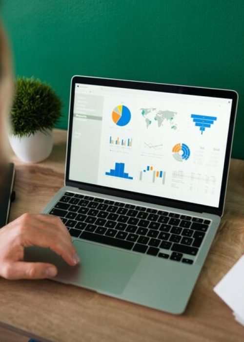 rear-view-young-man-working-his-laptop-looking-work-report-graphs_662251-2165